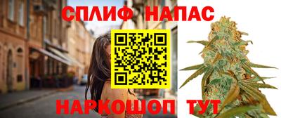 стаф Донецк